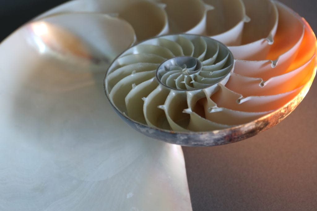 October 6, 2016 - January 1, 2017