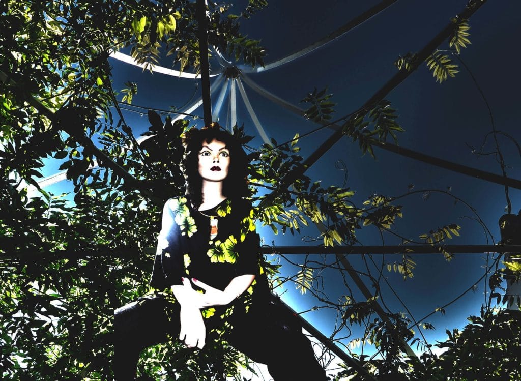 June 26 - September 8, 2019