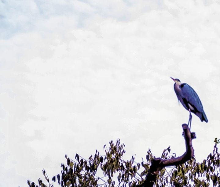 January 4 - February 25, 2018