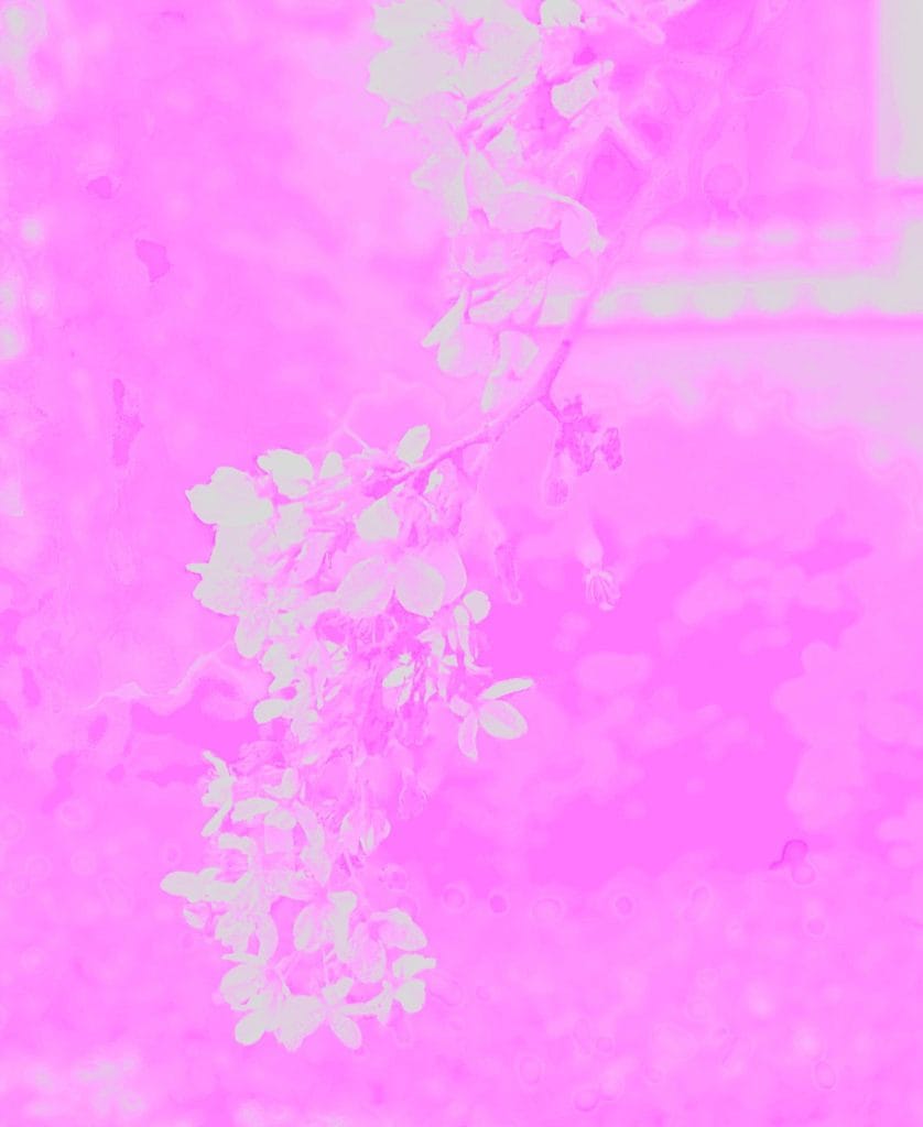 March 1 - April 29, 2018