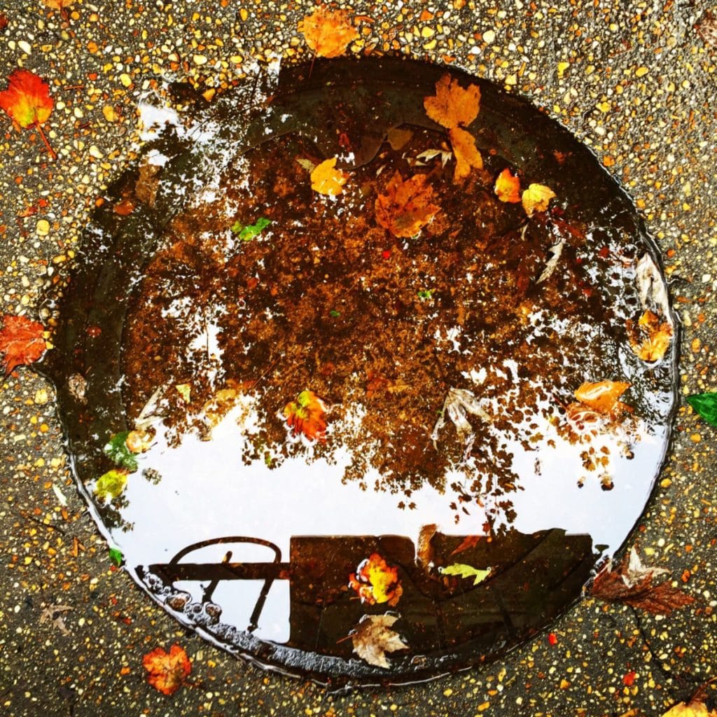 March 1 - April 29, 2018