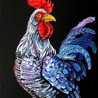 colorful rooster - dana ellyn