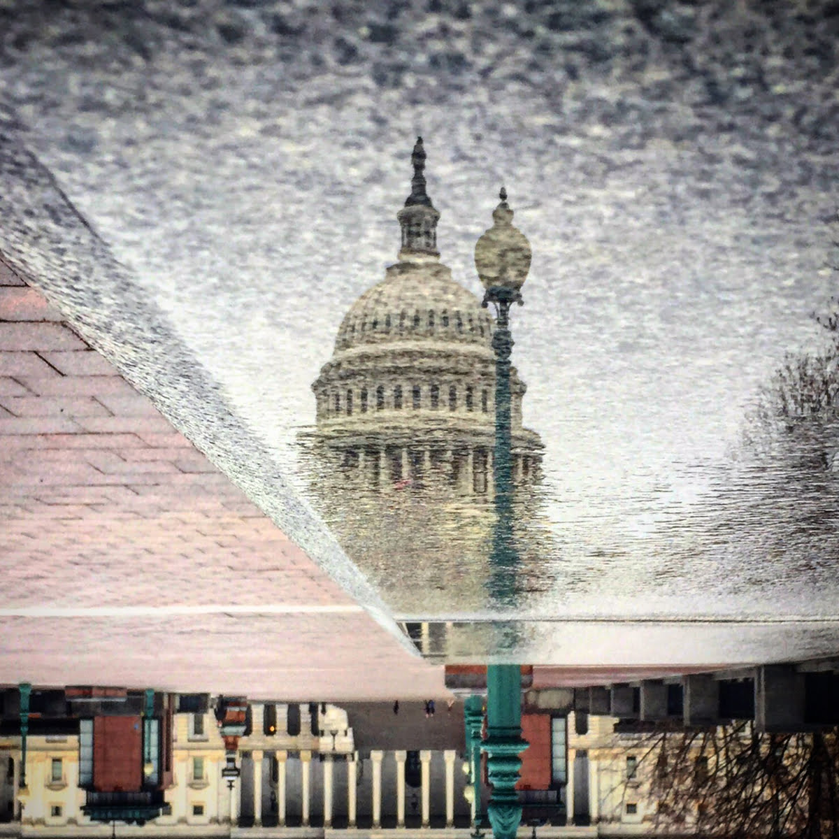Capitol Reflection #2