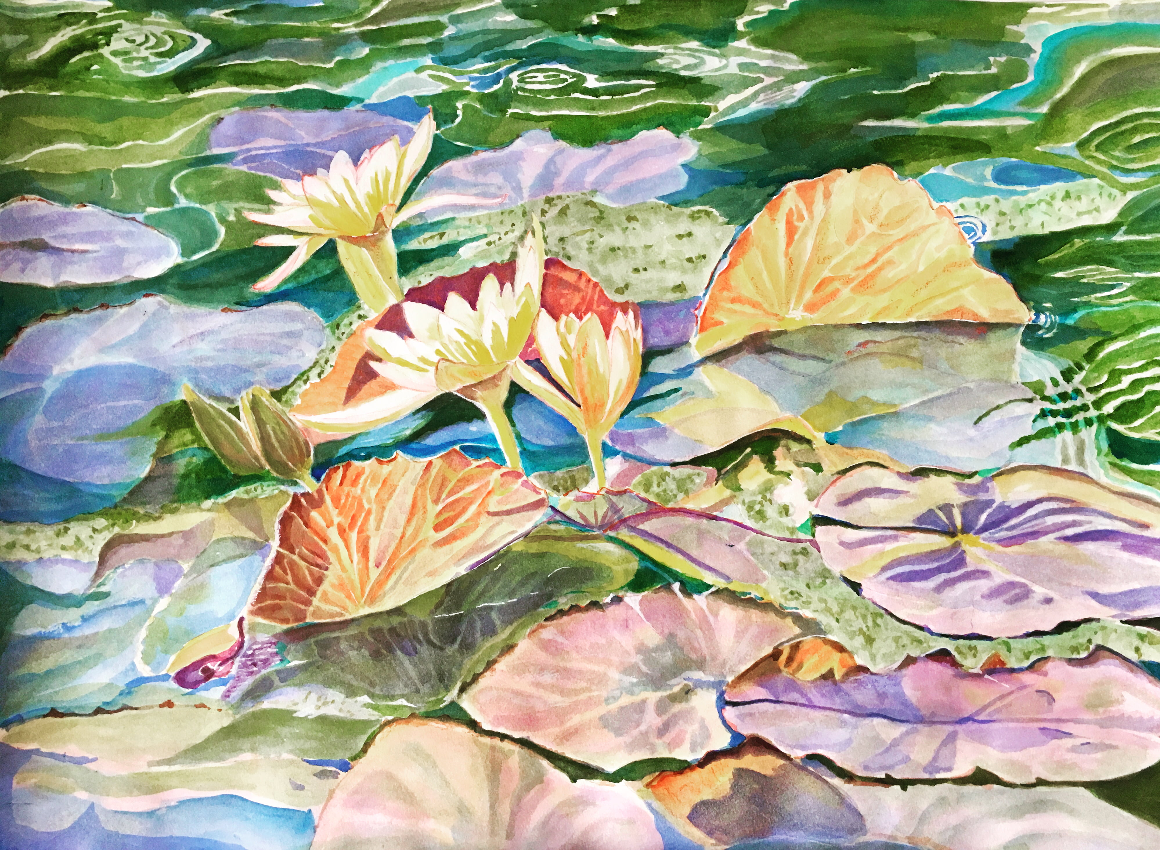 Meera Rao – Water Lillies