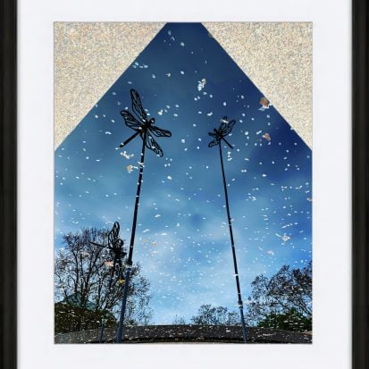 Dragonfly Reflection