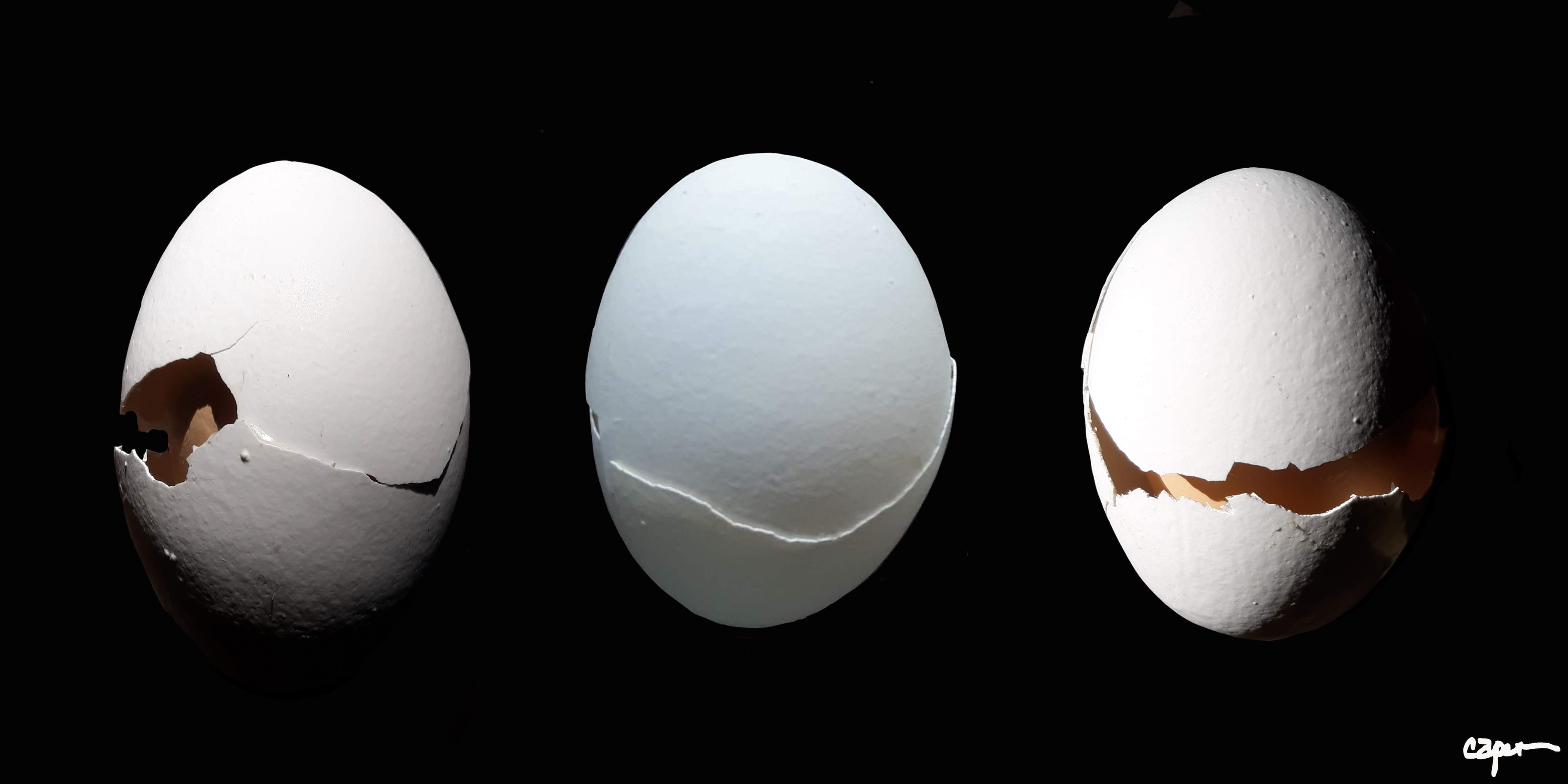 Judith Capen – No. 3: Egg-in-Egg