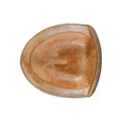 Matt Kelleher & Shoko Teruyama