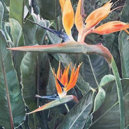 Grace Dobrow - Bird of Paradise