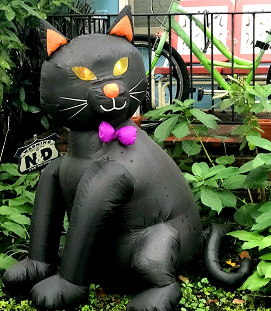 Rindy OBrien - Capitol Hill Creatures