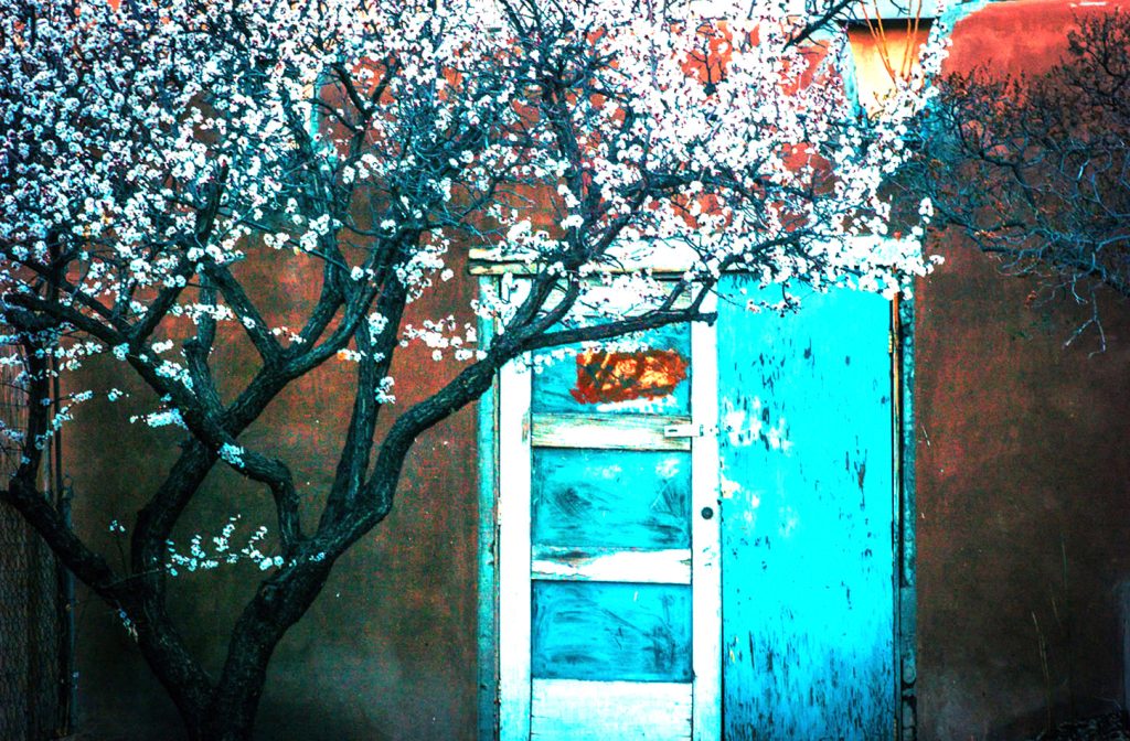 Rindy OBrien - Opening Doors and Windows