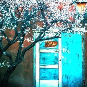 Rindy OBrien - Cherry Blossoms Sante Fe