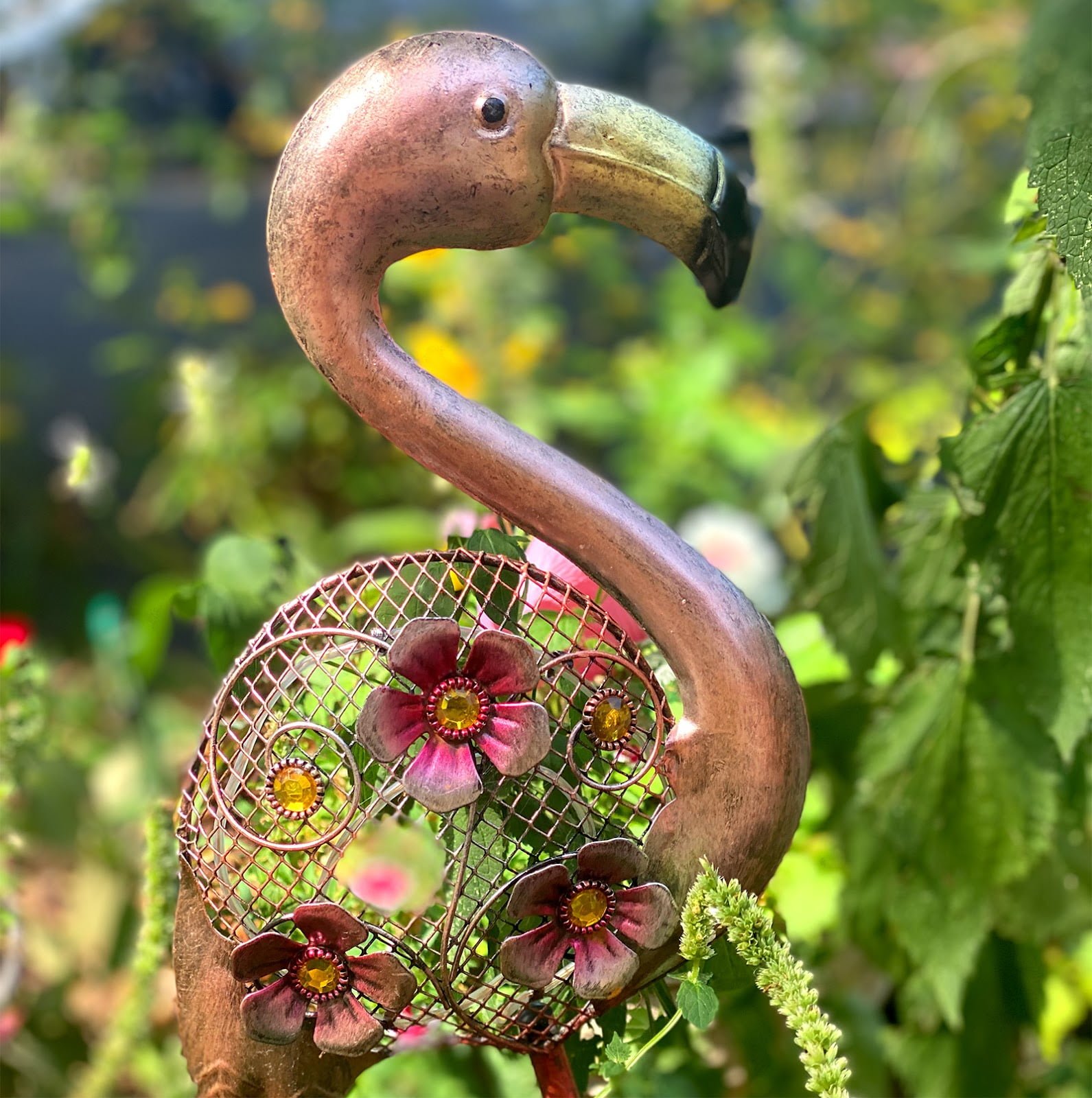 Rindy OBrien – Flamingo