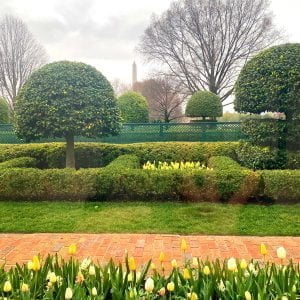 Rindy OBrien - From Inside The White House