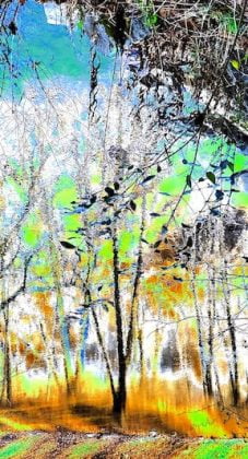 Karen Cohen – Streaming