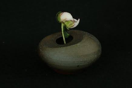 Larry O’Reilly – Clay Pot with Flower