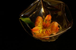 Larry O’Reilly – Orange Flower – Tiger Lily in Cup