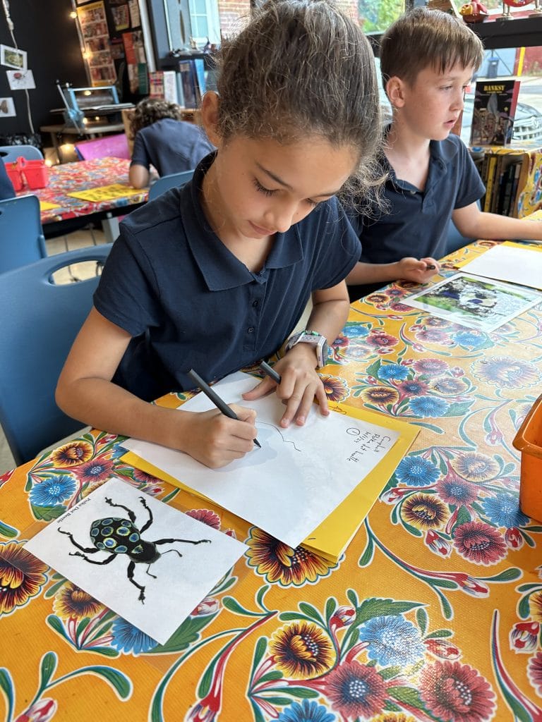 Young Artists Gallery: Living Jewels - Insect Treasures