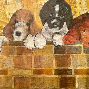 Alan Braley - Puppies