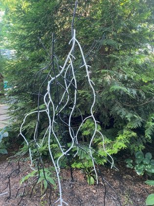 Dalya Luttwak - Roots in Black and White