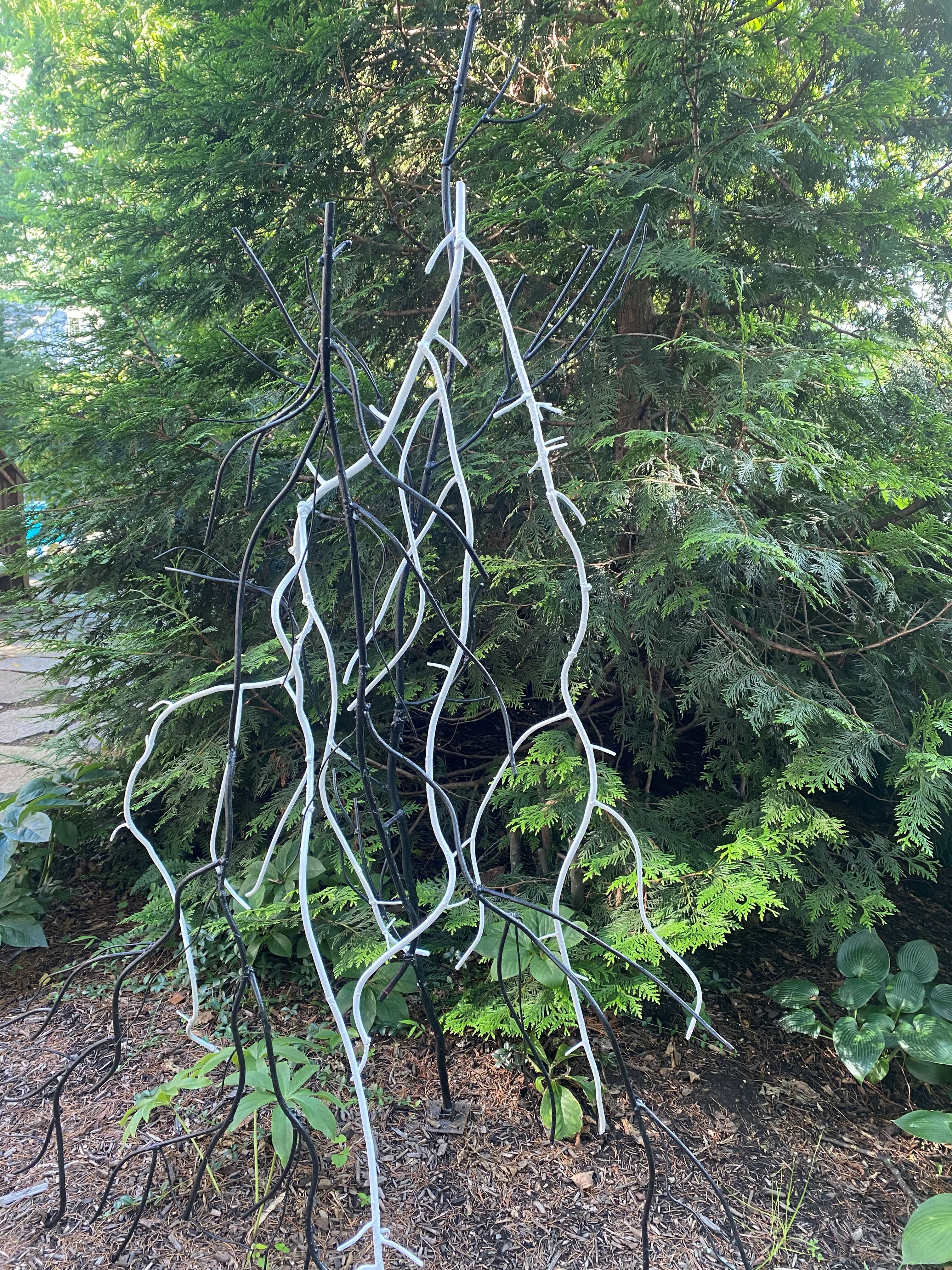 Dalya Luttwak – Roots in Black and White