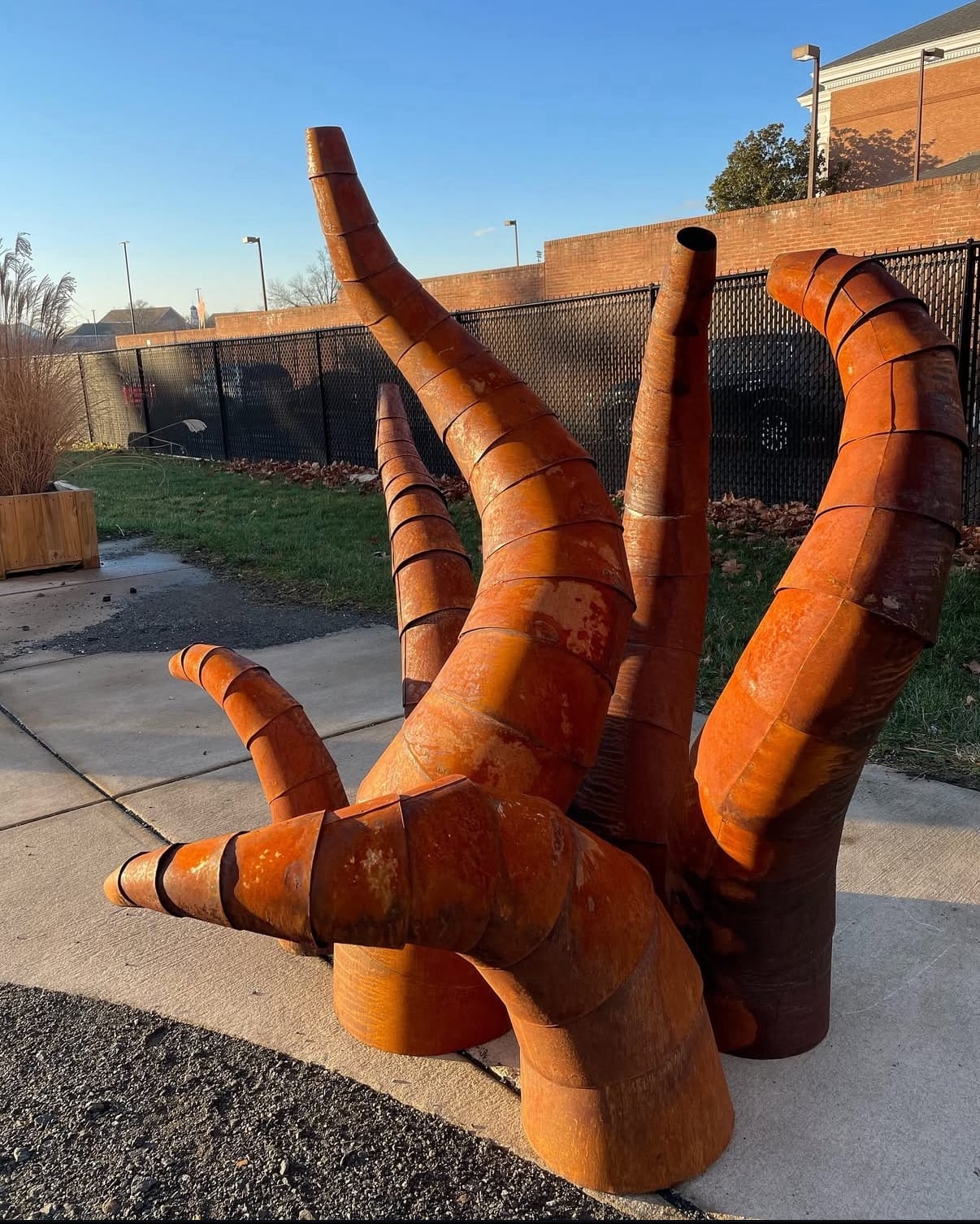 Nicholas Femia – Searching