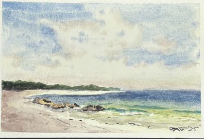Joshua Gorham - Fresh Pond Point 1