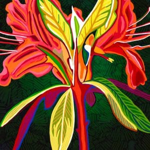 Rod Whyte - Natural Symmetry