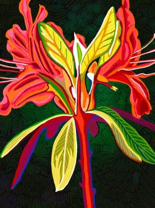 Rod Whyte - Natural Symmetry
