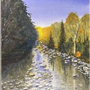 Joshua Gorham - Middle Branch Williams River