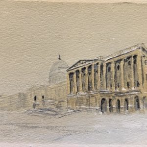 Joshua Gorham - Snowmageddon (Senate) 2010