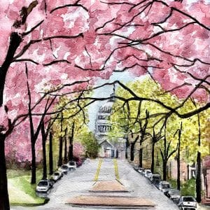 Tara Hamilton - Capitol Spring 250