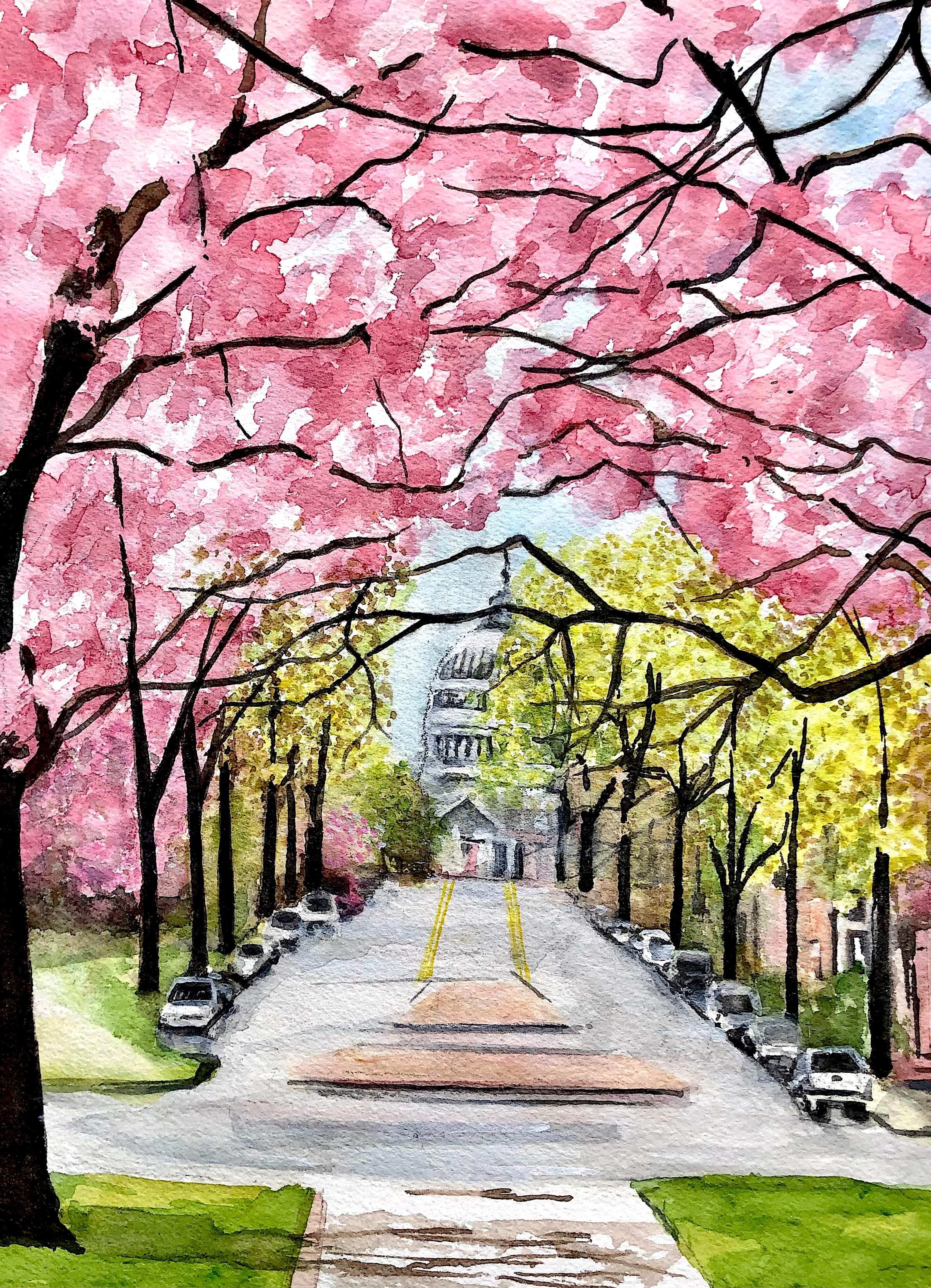 Tara Hamilton – Capitol Spring 250