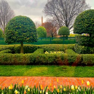 Rindy OBrien - From Inside the White House