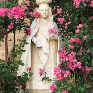 Rindy OBrien - Roses for the Soul