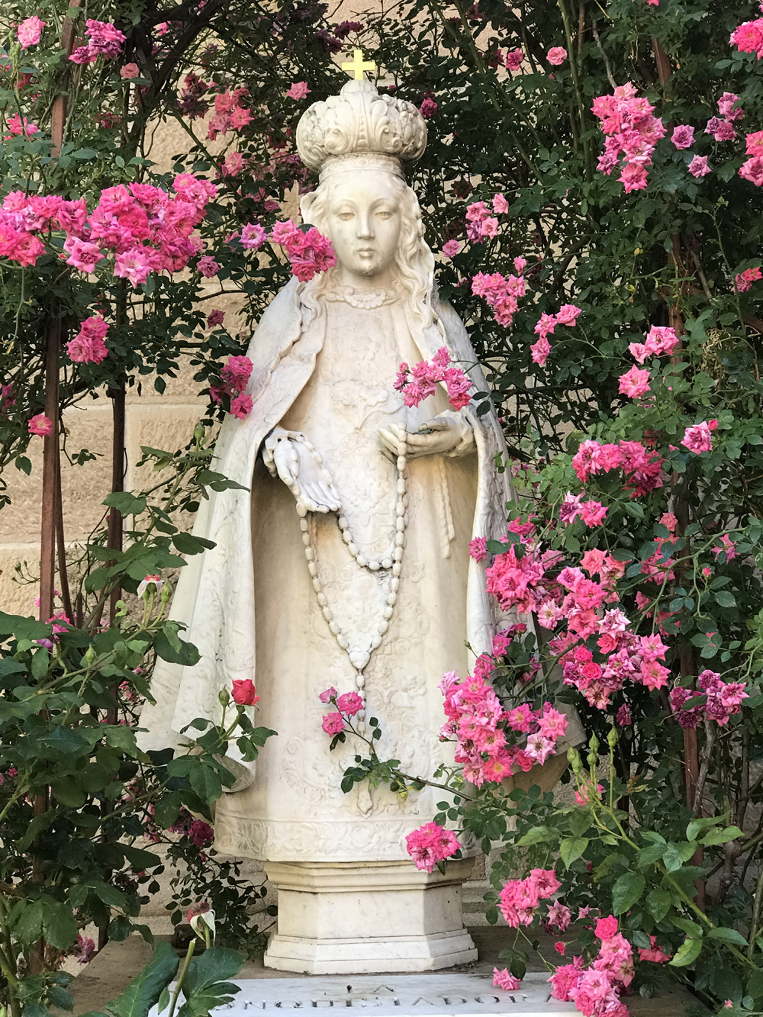 Roses for the Soul, 2024